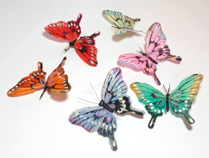 Dekoračné motýle na  štipci 12x9 cm